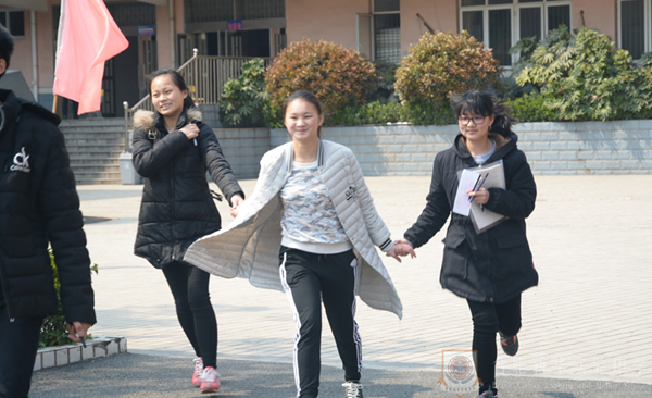 图片10_副本.png 图片10_副本.png