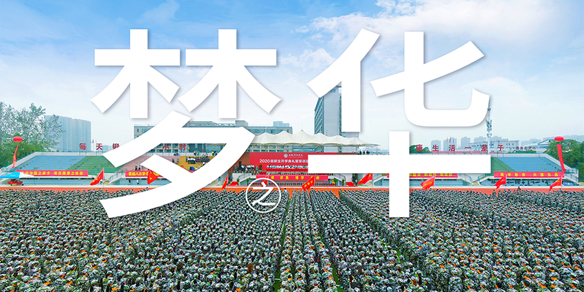 t_2f704f90edbdb8ee